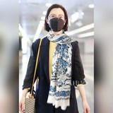 Новейшая витрина магазина D 【D Цветы и птицы, длинный шарф】 Отлично подходит для