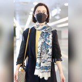 Новейшая витрина магазина D 【D Цветы и птицы, длинный шарф】 Отлично подходит для