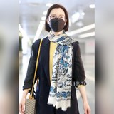 Новейшая витрина магазина D 【D Цветы и птицы, длинный шарф】 Отлично подходит для