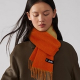 От популярного товара до лучшего товара года в магазине Hermès 【Двусторонняя дли