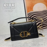 Dior Diamond Vine 30 Montaigne WOC. Новая модель этого года с блестящим бриллиан