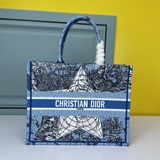 Новый материал Dior, новейшая модель ранней весны, сумка для покупок, одноплечев