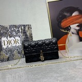 【Кожаный чехол в комплекте】 Сумка LADY DlOR с цепочкой через плечо, из кожи бычк