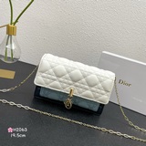 【Кожаный чехол в комплекте】 Сумка LADY DlOR с цепочкой через плечо, из кожи бычк