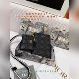 Новый комплект из двух предметов, Dior, новая кожа овцы первого слоя, обновление