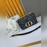 Сумка с леопардовым принтом и коробкой D1OR 2023 CARO BAG — это модель, от котор