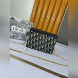 Dior [Вау] [Вау] Новая модная сумка Dior с цепочкой, изящная и компактная, с ори