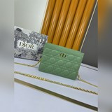 Dior [Вау] [Вау] Новая популярная сумка Dior с цепочкой, изящная и компактная, с