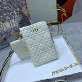 Новый комплект из двух предметов, Dior, новая кожа овцы первого слоя, обновление