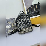 DI0R Oblique с двумя плечевыми ремнями действительно очень красивый. Он не уступ