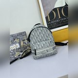 DI0R Oblique с двумя плечевыми ремнями действительно очень красивый. Он не уступ