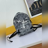 DI0R Oblique с двумя плечевыми ремнями действительно очень красивый. Он не уступ