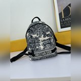 DI0R Oblique с двумя плечевыми ремнями действительно очень красивый. Он не уступ