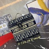 Диор DIOR выпустил самую популярную косметичку 2023 года с вышитым логотипом. Он