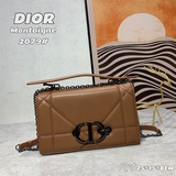 Dior Diamond Vine 30 Montaigne WOC. Новая модель этого года с блестящим бриллиан