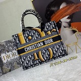 В комплекте с шарфом, шелкография, Dior, новейшая весенняя коллекция, сумка для 