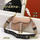 Классическая сумка Dior Saddle вернулась в моду и пользуется большой популярност
