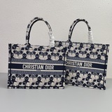 Новый материал Dior, новейшая модель ранней весны, сумка для покупок, одноплечев
