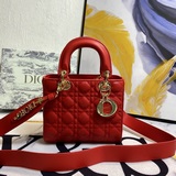 В комплекте с шарфом (Lady Dior) Новый ремешок с буквами  Четырехсекционная сумк