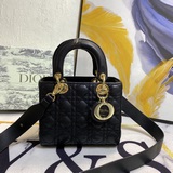 В комплекте с шарфом (Lady Dior) Новый ремешок с буквами  Четырехсекционная сумк
