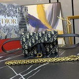 Dio.r Saddle Новая модель поясной сумки в форме седла Плоская форма поясной сумк