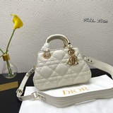 Lady Dior, модель с подиума, сумка Princess Diana, кожа, стеганая, очень большая