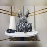 Черный, лето 2023, оригинальная ткань, модель Dior Saddle, модель, которую носят