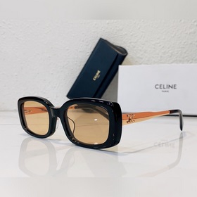 CELINE Модель： CL4S268 Размер： 53 x 21 x 145