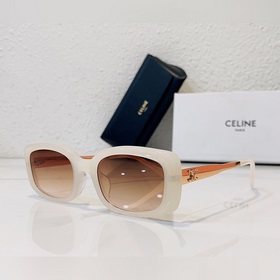 CELINE Модель： CL4S268 Размер： 53 x 21 x 145