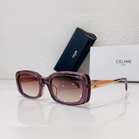 CELINE Модель： CL4S268 Размер： 53 x 21 x 145