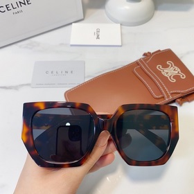 CELINE Модель： CL40239F Размер： 55 x 20 x 145