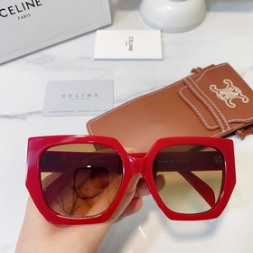 CELINE Модель： CL40239F Размер： 55 x 20 x 145