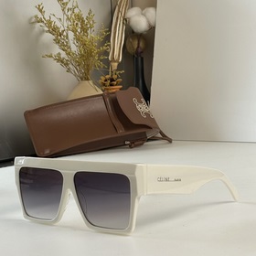 Поступили в продажу очки CELINE CL40030F. Высококачественные очки