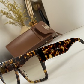 Поступили в продажу очки CELINE CL40030F. Высококачественные очки