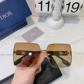 Dior PJ1901 Размер： 64-14-147