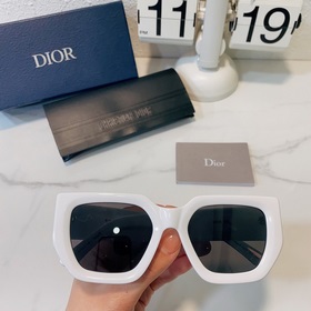 dior Модель： dior STE Размер： 53 x 21 x 145