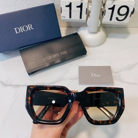 dior Модель： dior STE Размер： 53 x 21 x 145