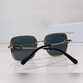 Salvatore Ferragamo Модель： SF1255S Размер： 60, 16-140