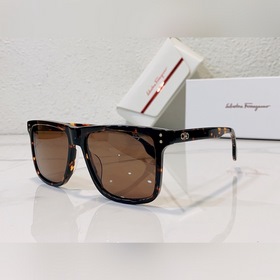 Salvatore Ferragamo Фи*Лагму C Модель： SF1020 Размер： 55*17*145