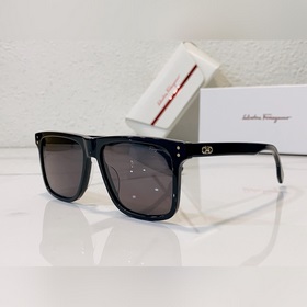 Salvatore Ferragamo Фи*Лагму C Модель： SF1020 Размер： 55*17*145