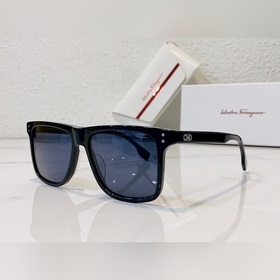 Salvatore Ferragamo Фи*Лагму C Модель： SF1020 Размер： 55*17*145