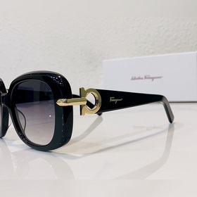 Salvatore Ferragamo Модель： SF1058G Новинка на официальном сайт