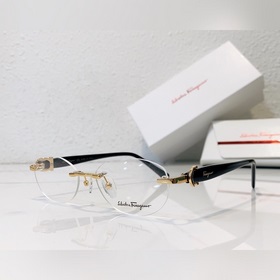 Официальный сайт Salvatore Ferragamo SF2524 Размер 54, 17-140