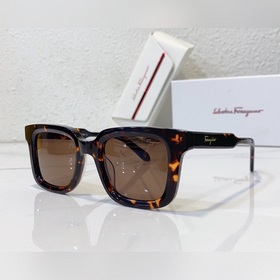 Salvatore Ferragamo Модель： SF1021 Размер： 48/23-145