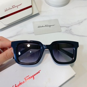 Salvatore Ferragamo Модель： SF1021 Размер： 48/23-145