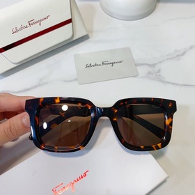 Salvatore Ferragamo Модель： SF1021 Размер： 48/23-145