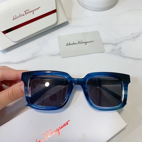 Salvatore Ferragamo Модель： SF1021 Размер： 48/23-145