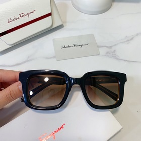 Salvatore Ferragamo Модель： SF1021 Размер： 48/23-145