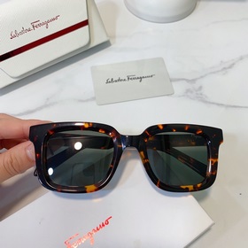 Salvatore Ferragamo Модель： SF1021 Размер： 48/23-145