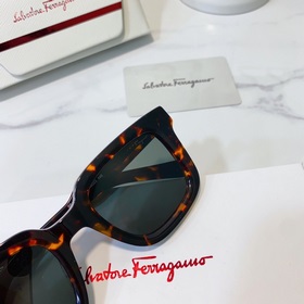 Salvatore Ferragamo Модель： SF1021 Размер： 48/23-145